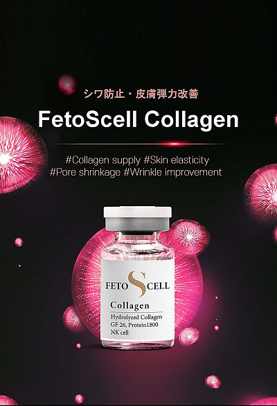 FetoScell Collagen　フォトエスセル コラーゲン